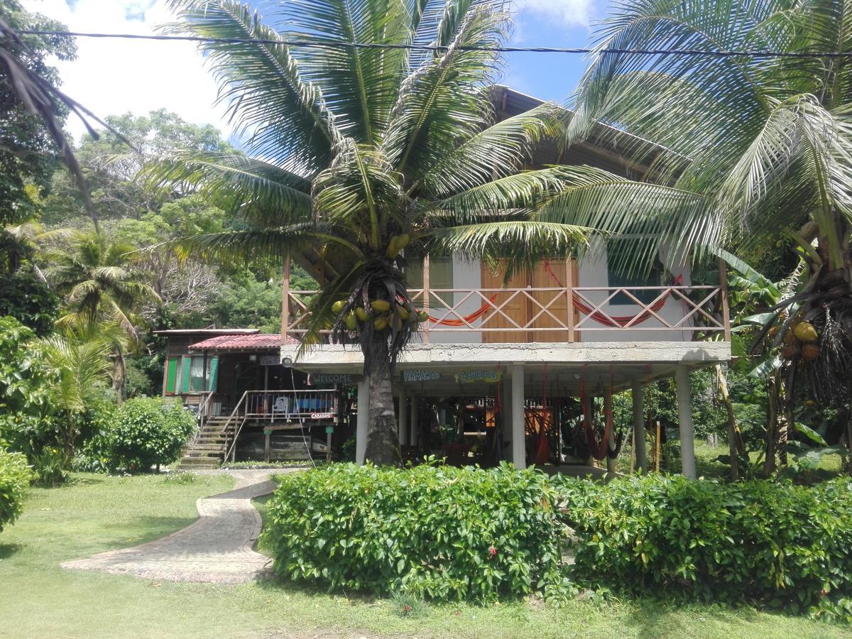 Hostal El Chileno Zapzurro Zewnętrze zdjęcie